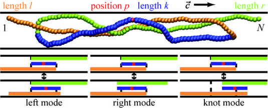 knotsegments