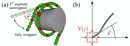 sketch_nucleosome